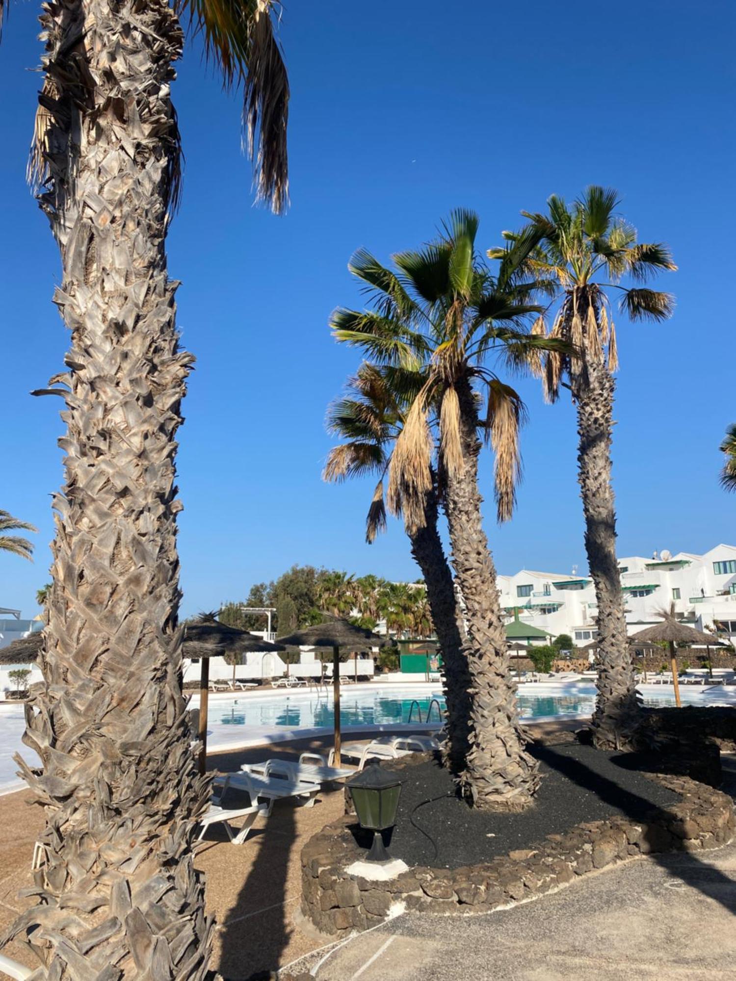First Floor Apartment With Sea View, Costa Teguise Exterior foto
